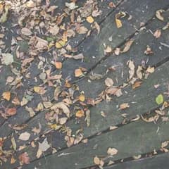 Weathered deck boards